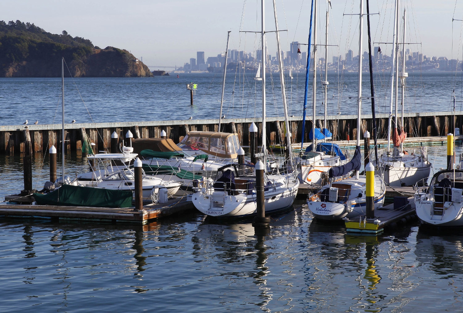 Enjoy views of the sailboats and San Francisco from Waters Edge Hotel in Tiburon California